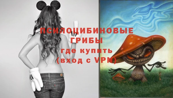 а пвп мука Касимов