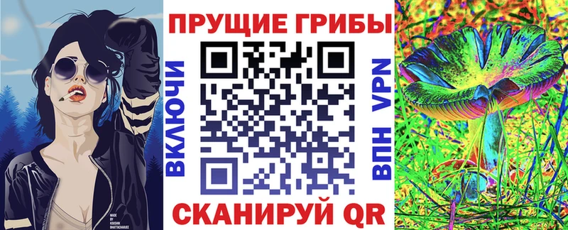 Галлюциногенные грибы мицелий  как найти закладки  Кинель 