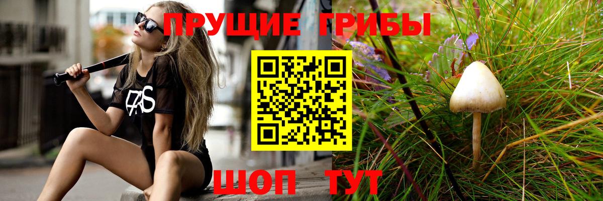 где продают   Галлюциногенные грибы Psilocybe  Вход с VPN  Галлюциногенные грибы Psilocybe  Кинель 
