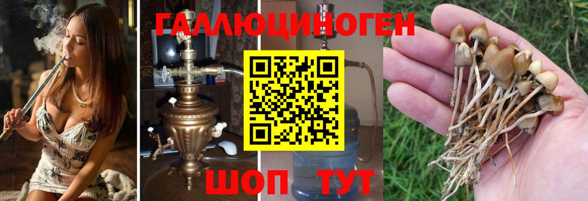 Псилоцибиновые грибы MAGIC MUSHROOMS Кинель